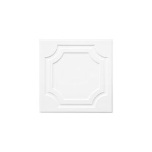 Loseta de fibroyeso clásico blanco 2 x 2